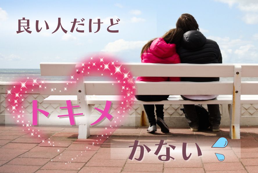 ブログ用写真 (1)